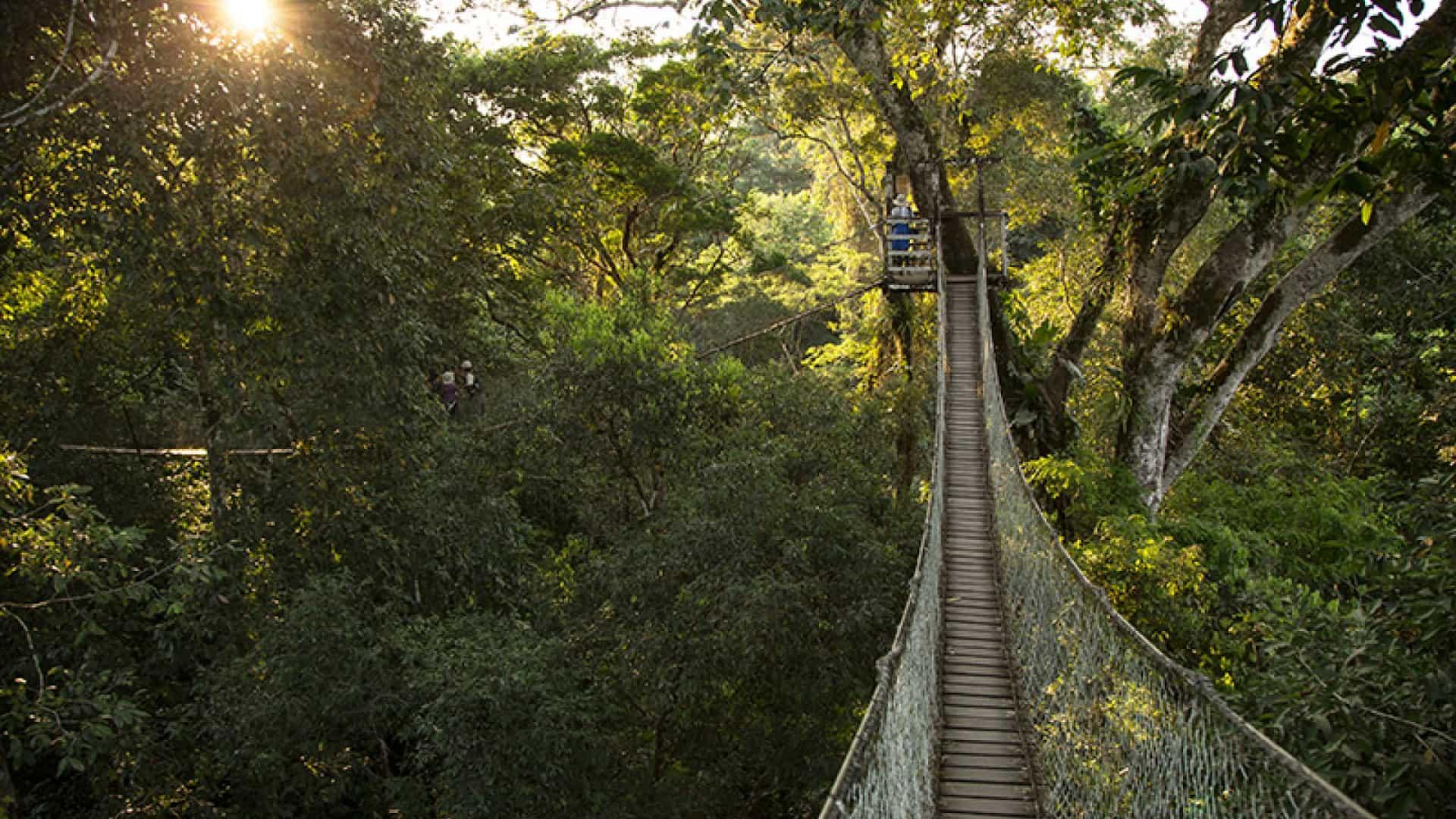 Imagen de la ciudad