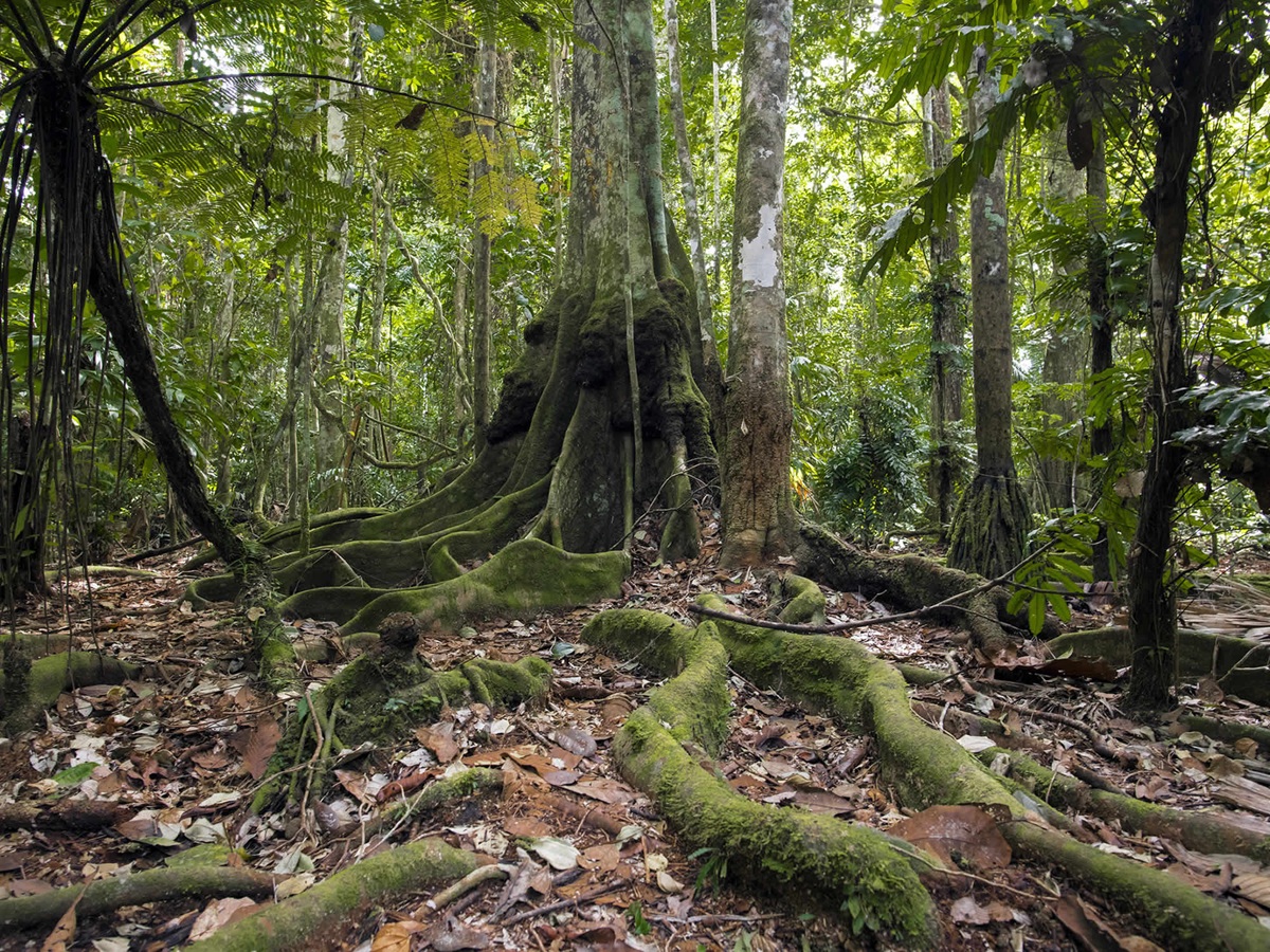 Imagen del lugar