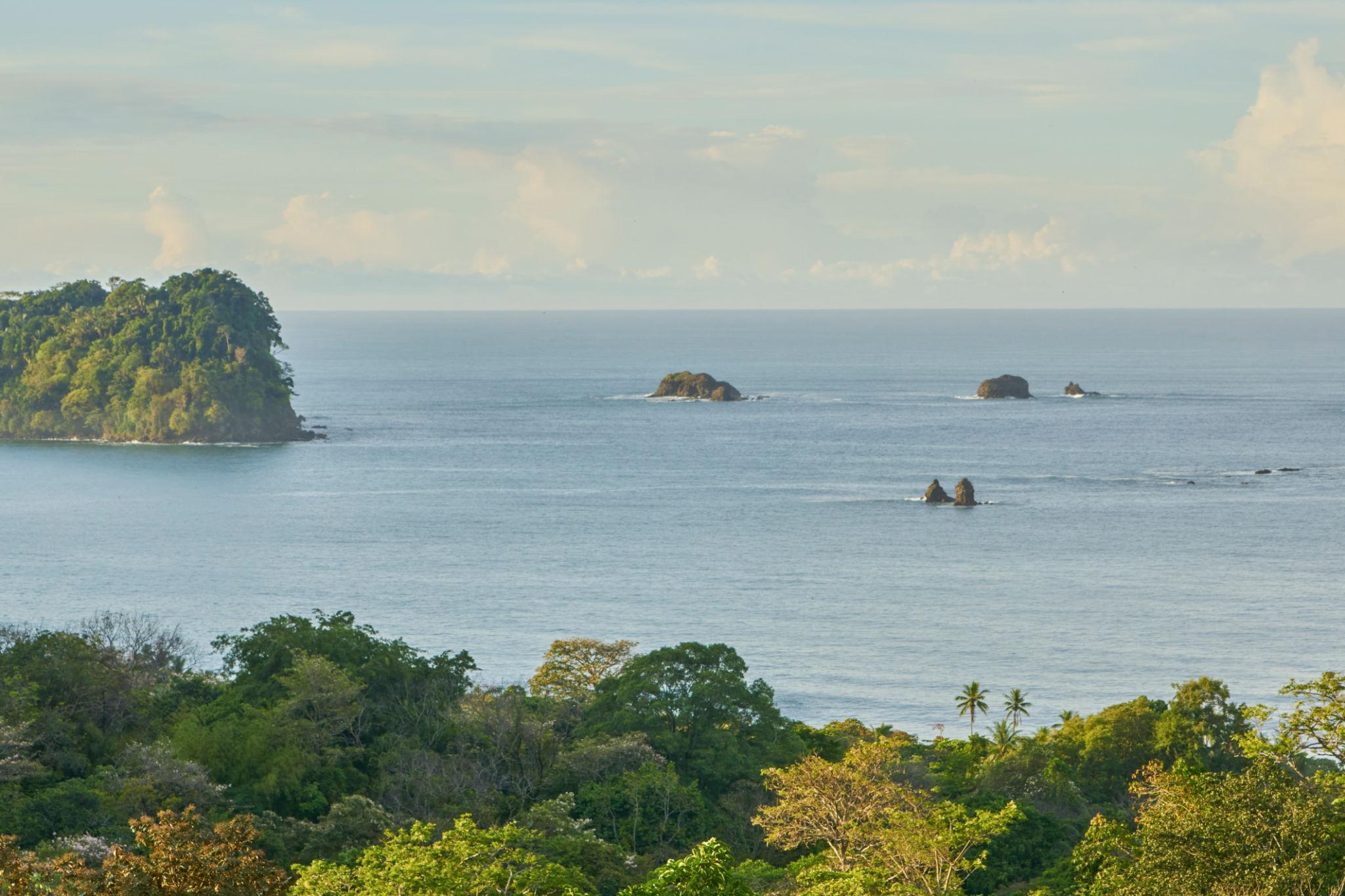 Imagen de Manuel Antonio