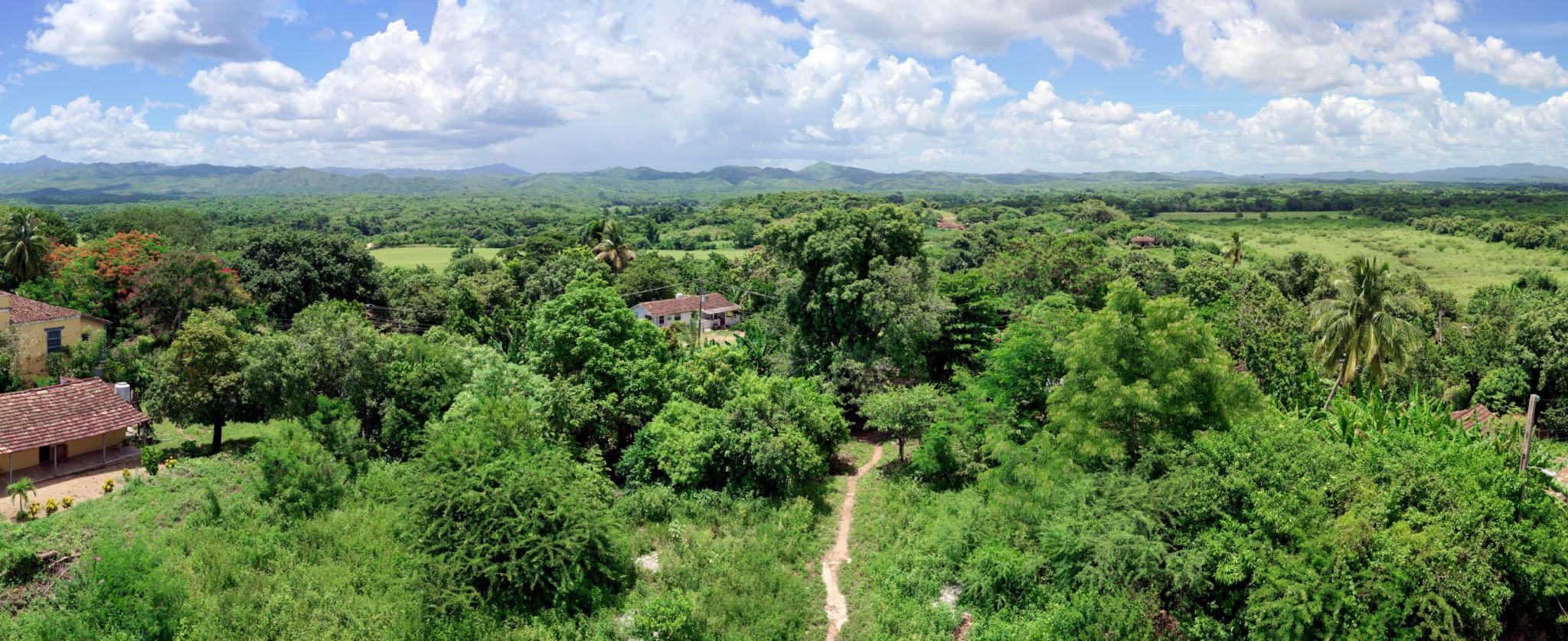 Imagen de Trinidad