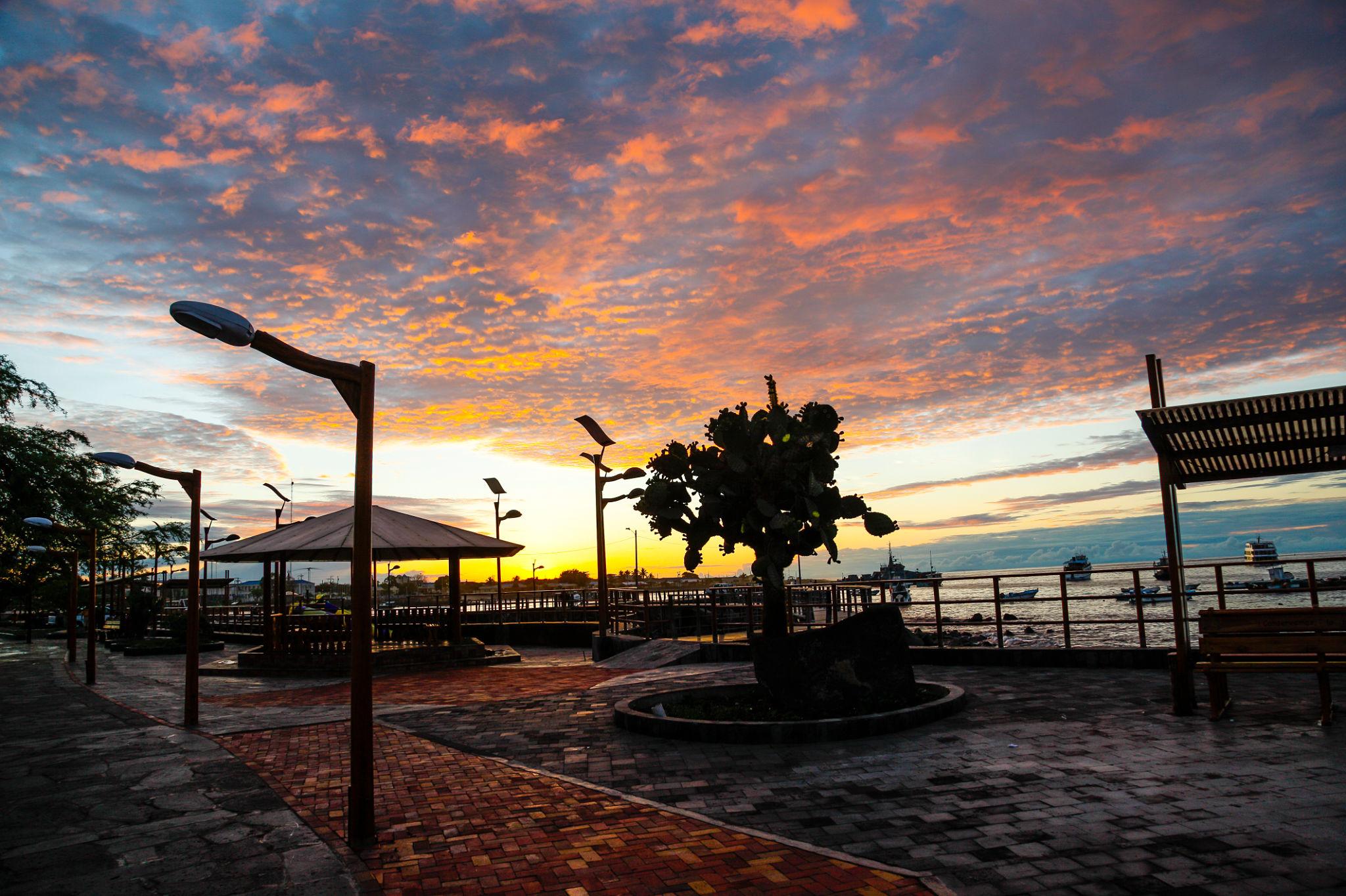 Imagen de la ciudad