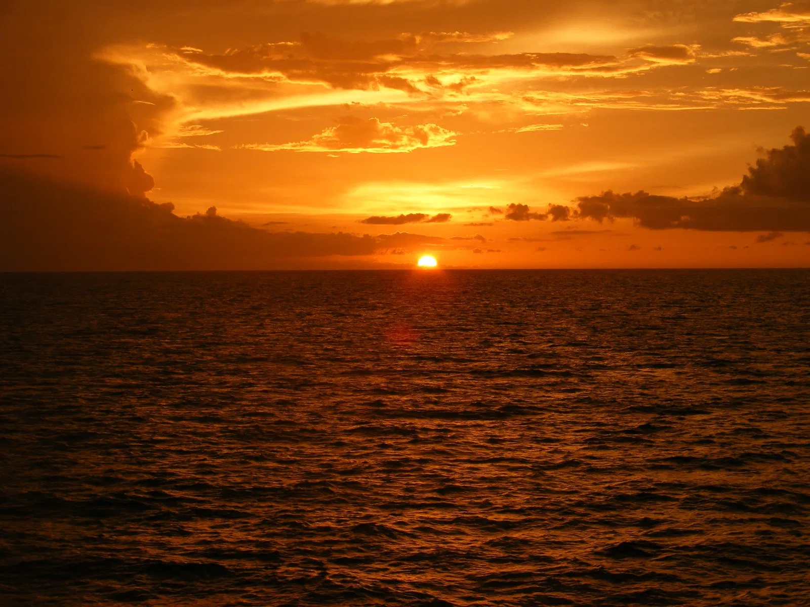 Gallery image 1
