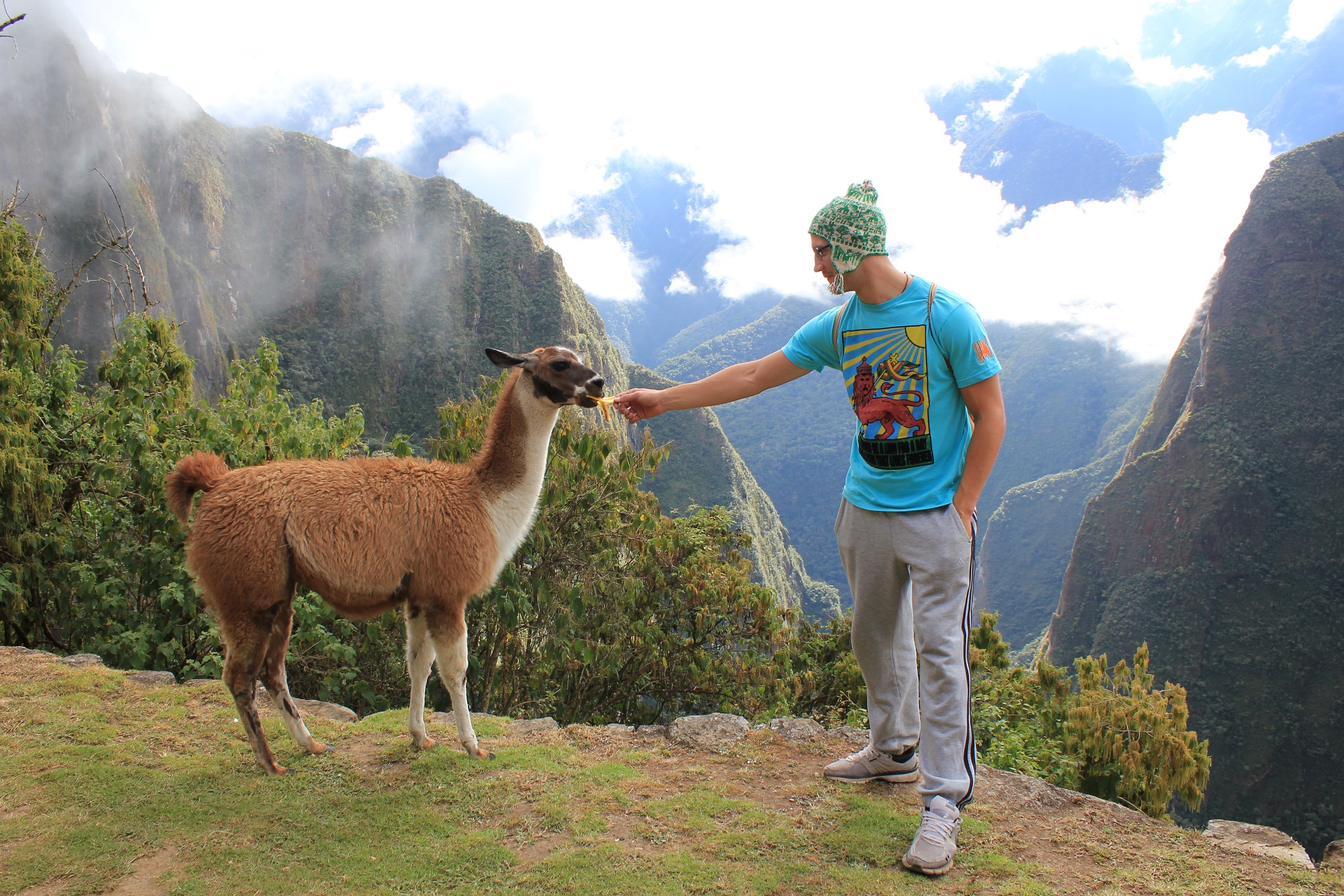 imagen del tour