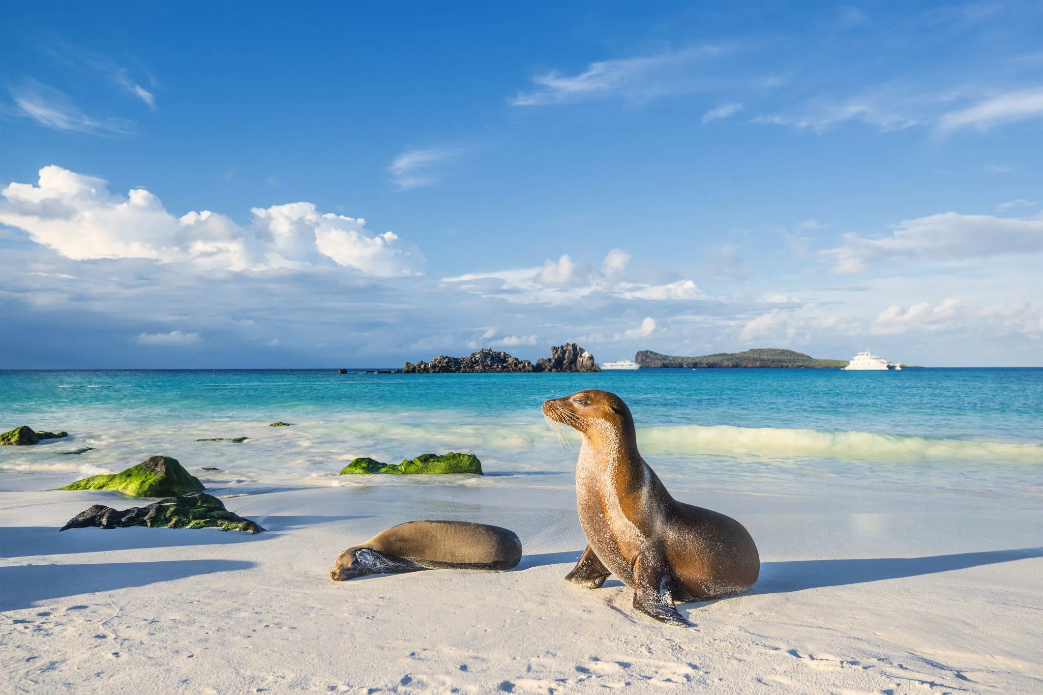Galapagos Island