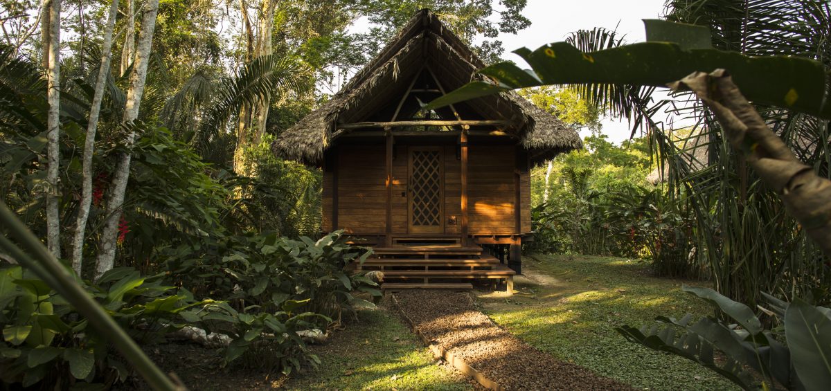 Amazon Rainforest Experience