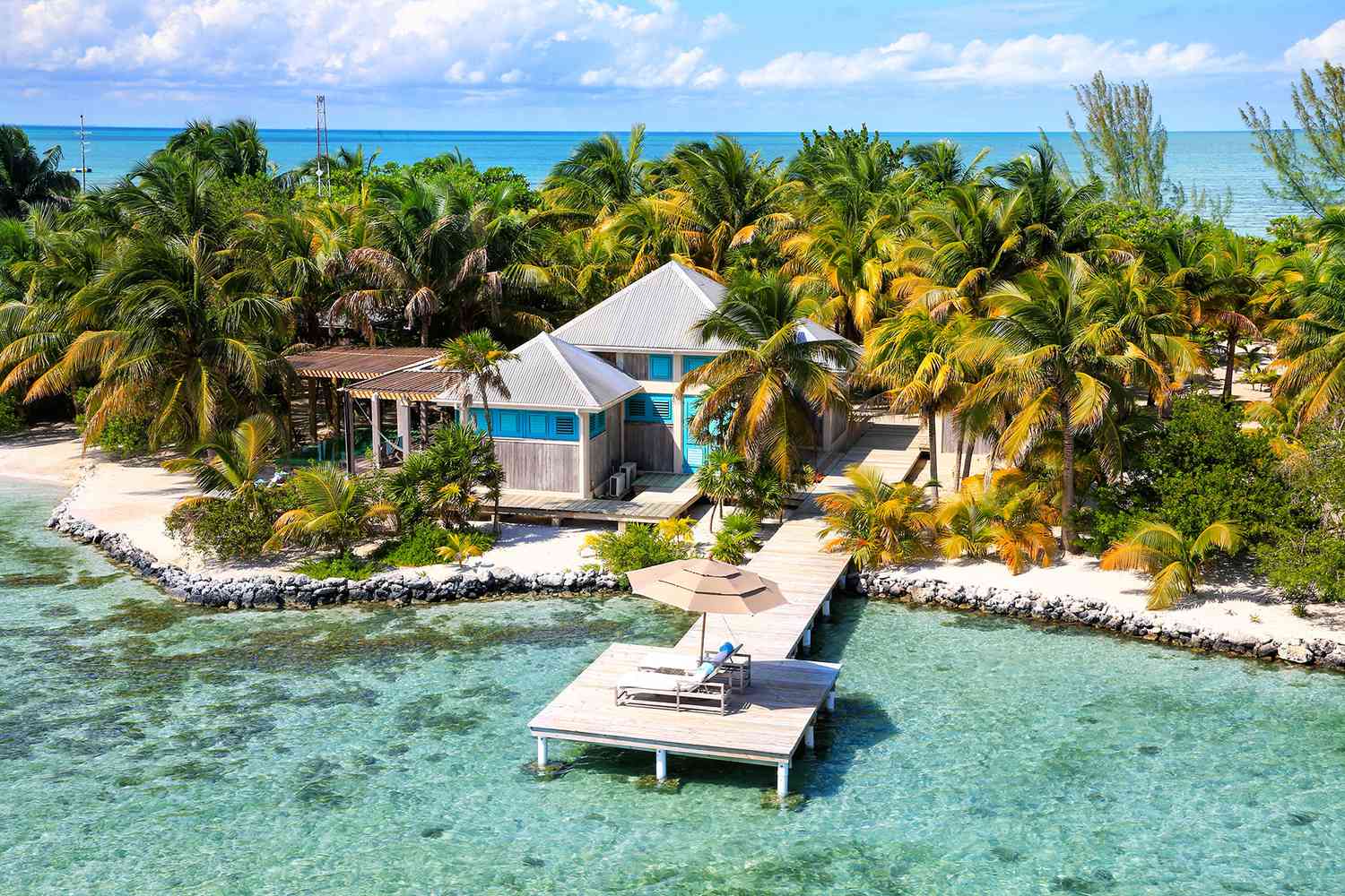 From City Lights to Jungle & Caribbean Dreams