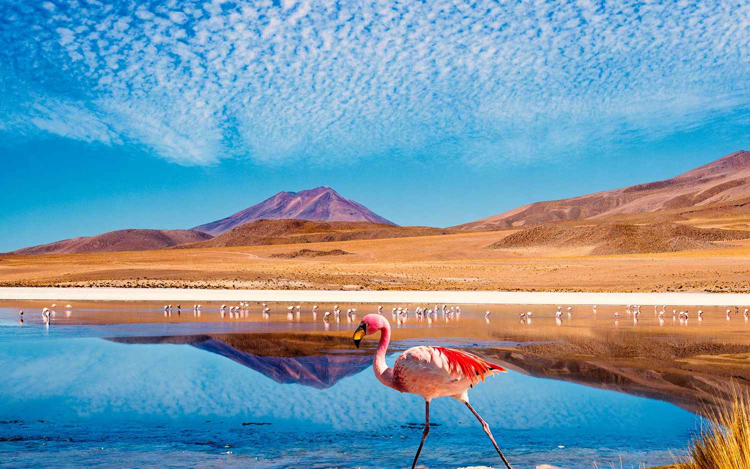 San Pedro de Atacama