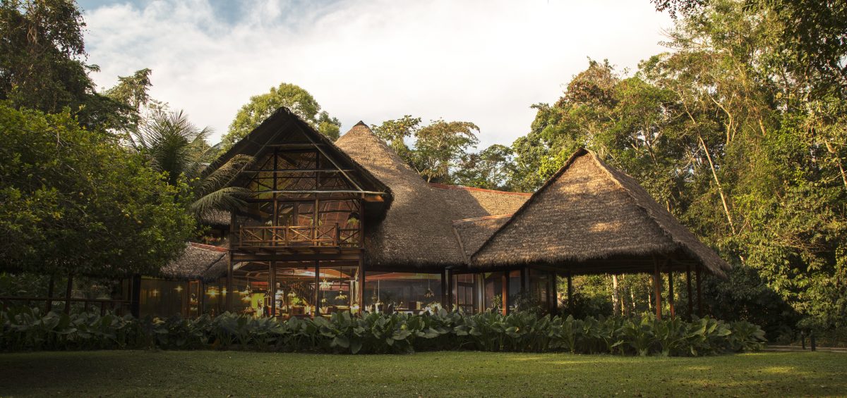 Immerse yourself in the refined beauty of the Amazon, where pristine rainforest, extraordinary biodiversity, and timeless traditions unfold in perfect harmony. This curated experience offers a rare sense of serenity and discovery, revealing the true essence of one of the world’s most remarkable natural sanctuaries.